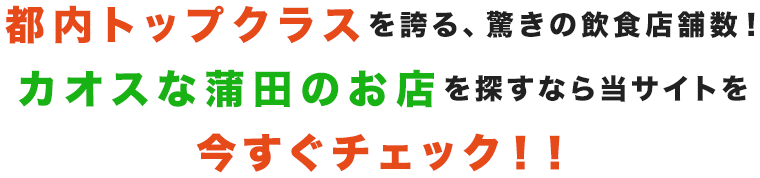 都内トップクラスを誇る、驚きの飲食店舗数！カオスな蒲田のお店を探すなら当サイトを今すぐチェック！！